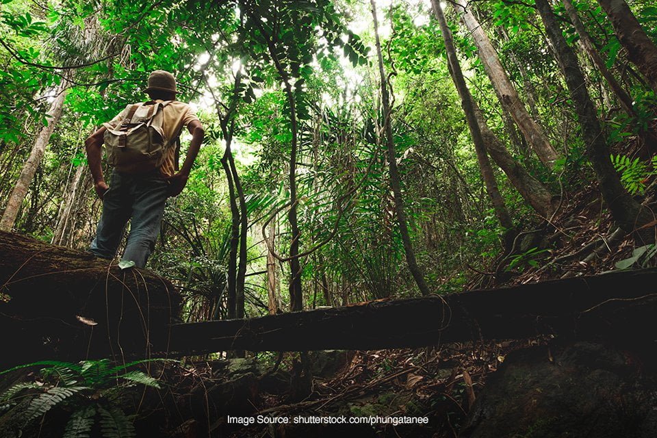 bertahan hidup di alam