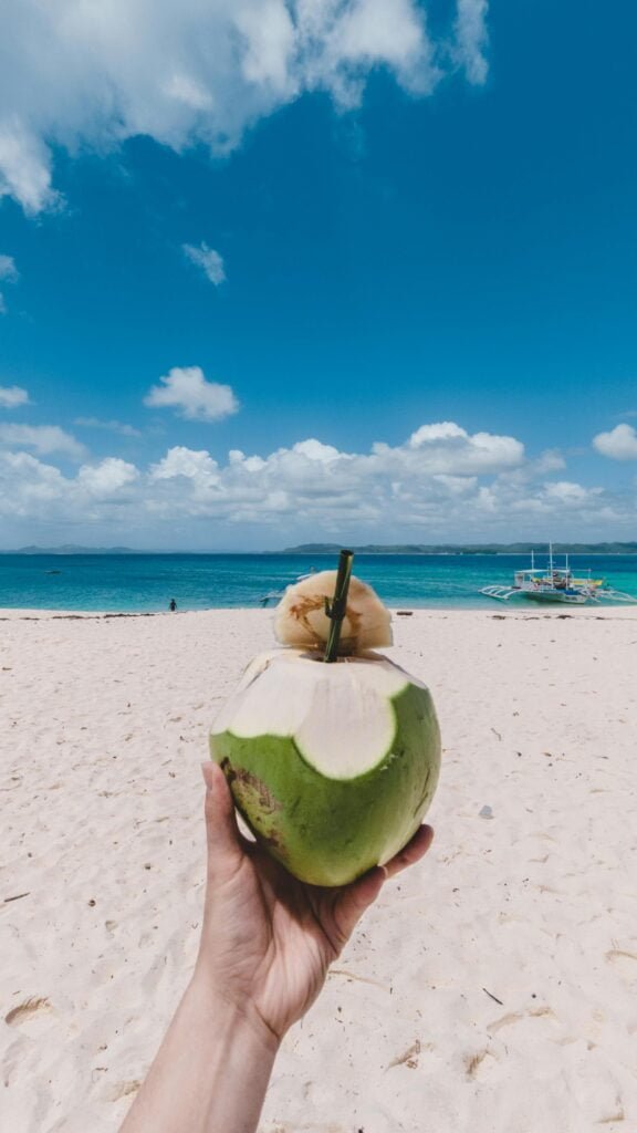 air kelapa muda