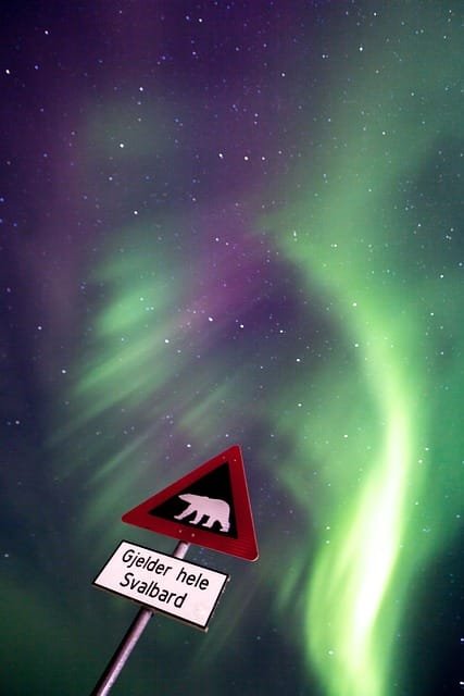 svalbard