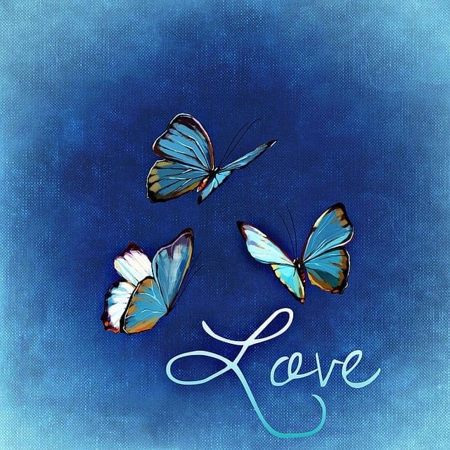 butterfly effect