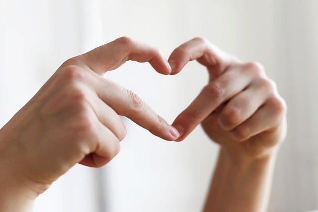 parasocial relationship