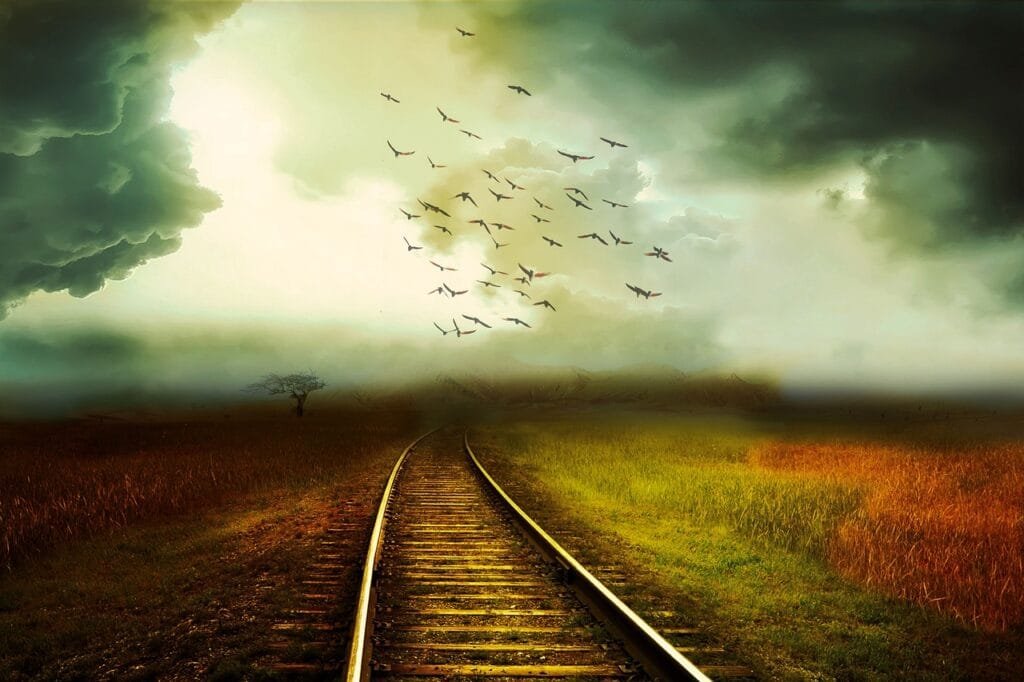 Fatum brutum, amor fati, dan memento mori